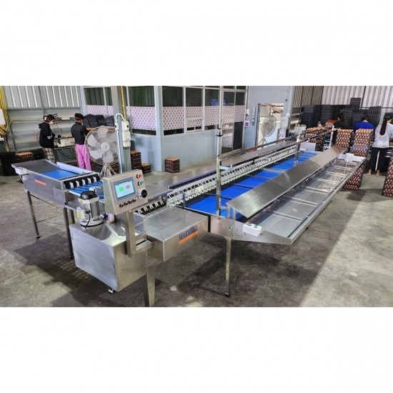 โรงงานผลิตเครื่องคัดไข่ดิจิตอลรุ่น 25000 เครื่องคัดไข่ 25000 ฟอง ระบบดิจิตอล  ขายเครื่องคัดไข่  เครื่องคัดไข่ไก่ 