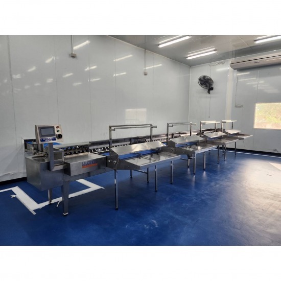 โรงงานผลิตเครื่องคัดไข่ - มาค เวลล์ โพรดักส์ - โรงงานผลิตเครื่องคัดไข่ดิจิตอลรุ่น 25000